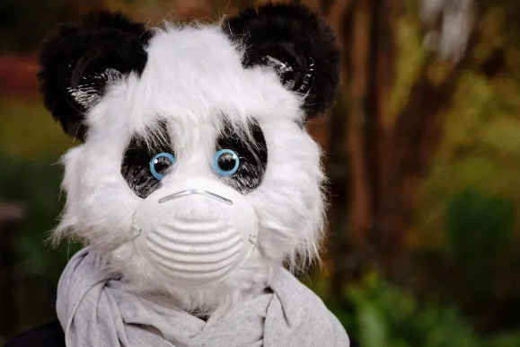 HeySpin Casino Assistance